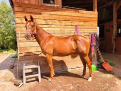 687ca349-adee-48be-92ea-4755edf559da