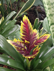 004a207a-9c07-4f41-badf-a593797ebec4