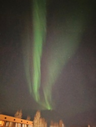 919d365e-bcc0-45c8-8e46-c59892588026