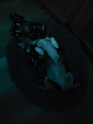 15c54b8e-7e2c-405d-9b75-383791980f10