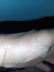 880c8b95-dbdf-4b67-bc2c-8cac28e996bc