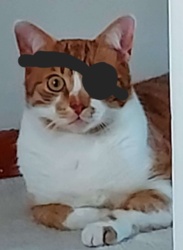 b5447bf7-8d0e-4343-a4a9-bb64dd2f7b19