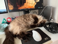 9188006a-22af-4bcc-8da4-6158b320fbae