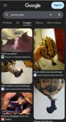 0a31a465-70a7-4a76-9b7a-99517805c0be