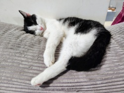 a5c1a5c1-1cca-4811-adb9-fdbd8fdaf94f