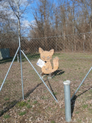 18666e42-cdfe-4b98-92c8-76cc7fc6f79b