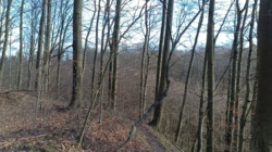 de6fdd4b-b5a6-43ed-90c7-77b726cf7cb9