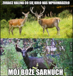 3eab1f1b-a547-43db-a1cc-a210c3d3b807