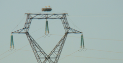 b32c5e70-ebba-4604-ae02-8abce9dd814d