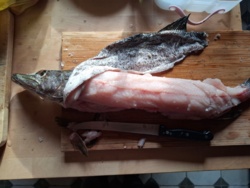 94c78f77-5669-4b6e-9a5d-90524de4e935