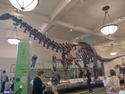 acbcadf1-f5bd-4e40-8586-46d74d8bd60f