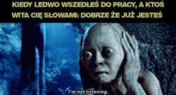 95c8dc4c-144a-4b5e-aa4f-fe07500fd3be