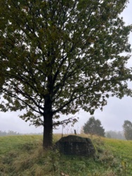 2416207c-00ae-4866-9da5-f8499225bfd4