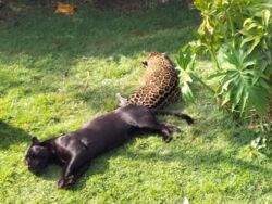 304fac64-58ca-436b-ab85-2312d8e587ff