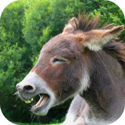 d14ba384-419d-4304-8a19-242c79e4b802