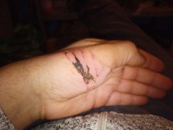 37ccd91e-f4a6-4c85-9512-de6aad7bec43