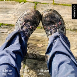 12b48d36-8e59-4ce1-ba18-342cd19087a5