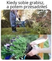 e925910c-4673-45e7-92b4-27d3ed38b2e5