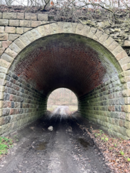 4cd970c1-7bab-4b95-952a-7ac436fd679b