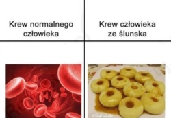 e805d013-bed9-4d5a-b247-2fc46b5dd165