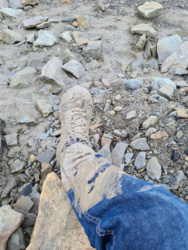 156bbfe7-6e6d-40c4-bf7e-79363dfb320d