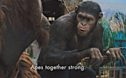 e2d01d0d-d3b8-47ff-9acd-cb935a2bc488