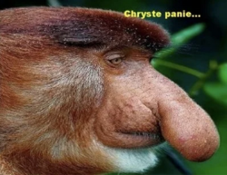 ecf2cb2e-5dc6-4702-ae89-dc0f85805bad