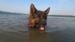 cdb19d31-e1e1-4eac-a60a-76a82aefee81