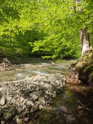 a88c9067-80cd-4a18-bacf-2da0650f4620