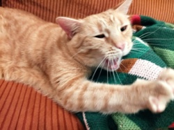 cf7920b9-b1b9-497a-9f51-cbefb870ef2d