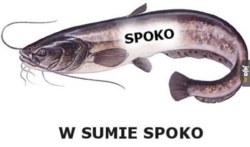 4e875a6b-605b-4d88-87b0-8c2b6d39bff3