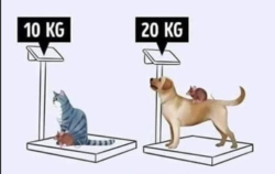 f685b2df-7836-4488-8184-93078c1e6374