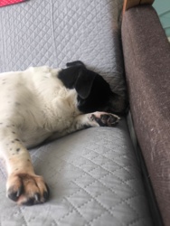 d6eb9c76-ca79-4e70-938e-37c76bd84aa9