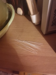 af9364c7-cdd6-480d-857e-c44b31abb08d