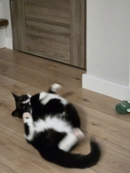 14d8b422-2b15-427a-8220-626584b0bc38