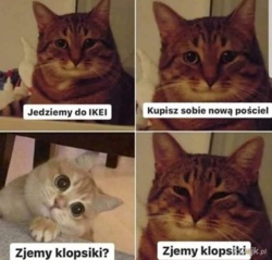 66c5a4f7-f1df-4bdf-bcc5-2af6d09cb906