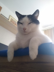 ad7fd39b-be43-4d47-8005-e68269780f72