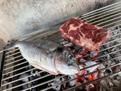 3bba24d8-af57-4cb9-920c-9db0ec453afc