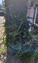 583b2f84-9fdd-4899-bb7b-025961c257bd