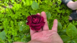 ab9a01bb-74f0-499e-8aeb-943925c6485c