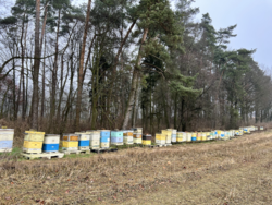 93ebadac-a038-4605-8653-da8cfaaea9e0