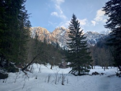 c3316eec-7a11-4b2f-b224-e9db968b9ed3