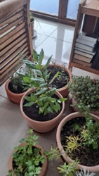 51f279ee-a553-43ea-a85d-7b9bb9e66756