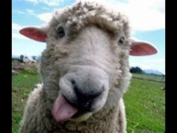 ca49cded-216b-4930-84e7-a98da3716a84