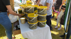 a5b2c6ad-fd0a-4b3f-ad28-12372c89ac8b