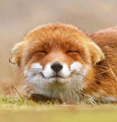 9e32d9d8-53d3-4c0c-96c0-8c6bc1ae99f9