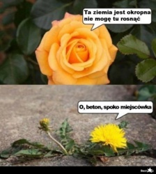 f8a34aa5-15c2-4da0-8768-ea62b0fec7fb