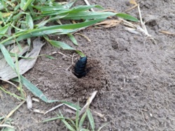 a07a322f-7de7-47e1-b465-d8bf7190ea90