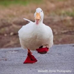 4f897719-d0ea-4578-95e7-28eff6ad37ef