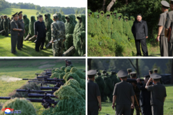 43613a6d-161c-4477-95b2-cbdebdaa1d1c